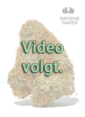 Video volgt